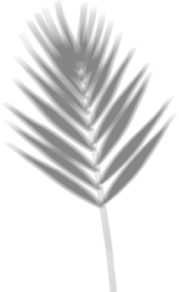 Blurred Small Palm Shadow
